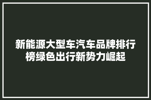 新能源大型车汽车品牌排行榜绿色出行新势力崛起