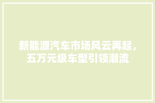 新能源汽车市场风云再起，五万元级车型引领潮流