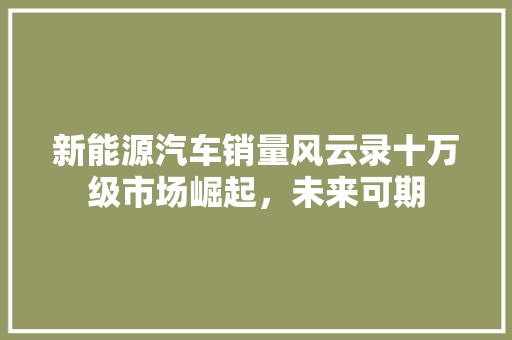 新能源汽车销量风云录十万级市场崛起，未来可期