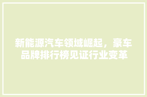 新能源汽车领域崛起，豪车品牌排行榜见证行业变革