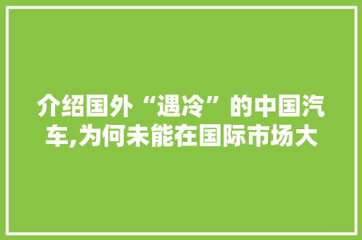介绍国外“遇冷”的中国汽车,为何未能在国际市场大火 车型评测