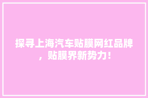 探寻上海汽车贴膜网红品牌，贴膜界新势力！