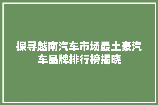 探寻越南汽车市场最土豪汽车品牌排行榜揭晓