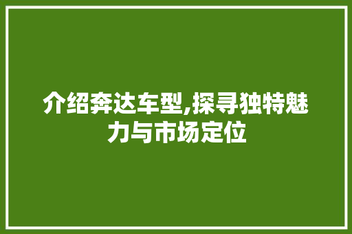 介绍奔达车型,探寻独特魅力与市场定位