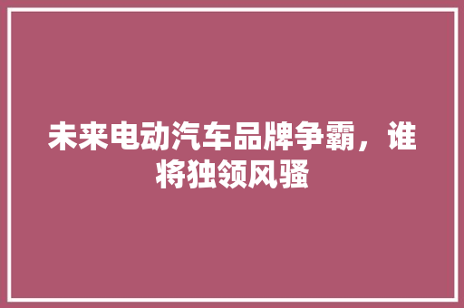 未来电动汽车品牌争霸，谁将独领风骚 自动驾驶