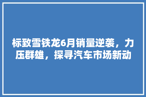 标致雪铁龙6月销量逆袭，力压群雄，探寻汽车市场新动向