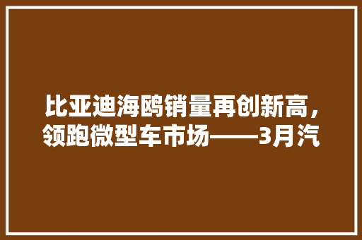 比亚迪海鸥销量再创新高，领跑微型车市场——3月汽车销量排行榜解读