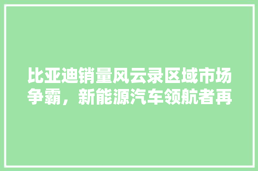 比亚迪销量风云录区域市场争霸，新能源汽车领航者再创辉煌
