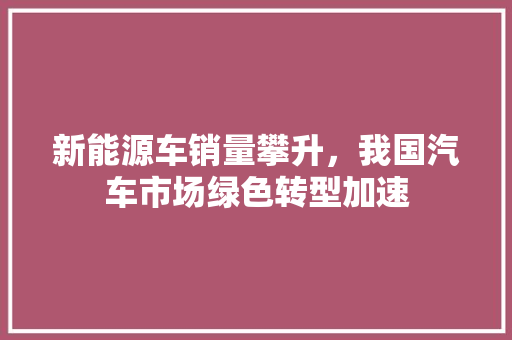 新能源车销量攀升，我国汽车市场绿色转型加速