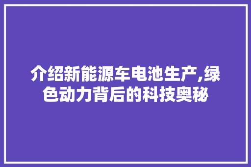 介绍新能源车电池生产,绿色动力背后的科技奥秘 新能源汽车