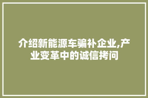 介绍新能源车骗补企业,产业变革中的诚信拷问