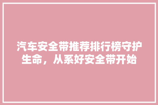 汽车安全带推荐排行榜守护生命，从系好安全带开始