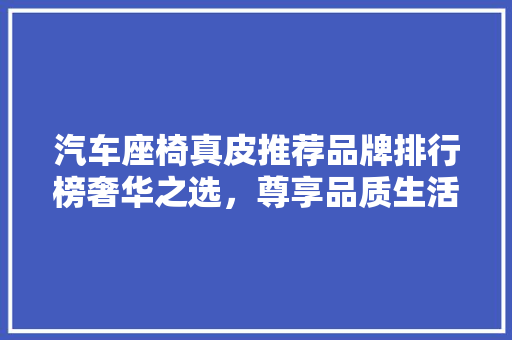 汽车座椅真皮推荐品牌排行榜奢华之选，尊享品质生活