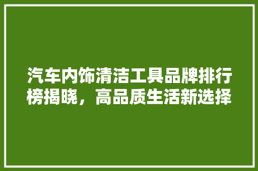汽车内饰清洁工具品牌排行榜揭晓，高品质生活新选择