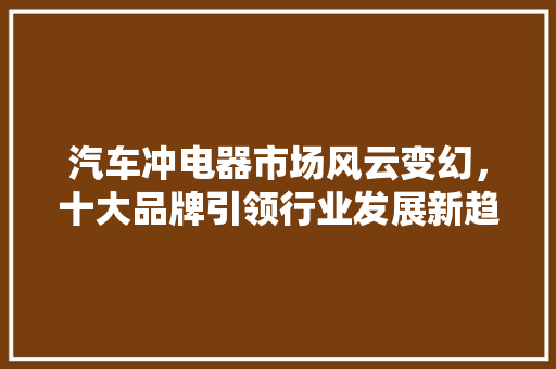 汽车冲电器市场风云变幻，十大品牌引领行业发展新趋势