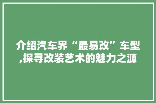 介绍汽车界“最易改”车型,探寻改装艺术的魅力之源