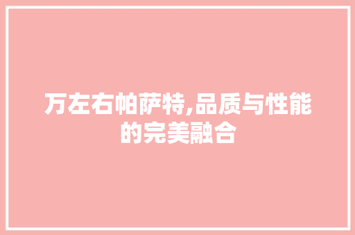 万左右帕萨特,品质与性能的完美融合