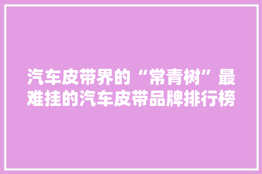 汽车皮带界的“常青树”最难挂的汽车皮带品牌排行榜