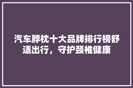 汽车脖枕十大品牌排行榜舒适出行，守护颈椎健康