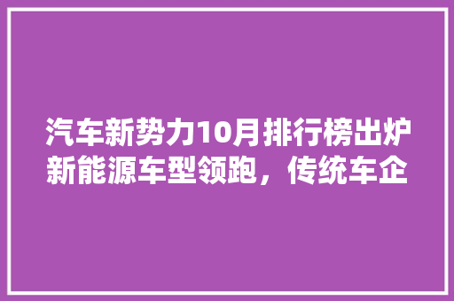 汽车新势力10月排行榜出炉新能源车型领跑，传统车企面临挑战
