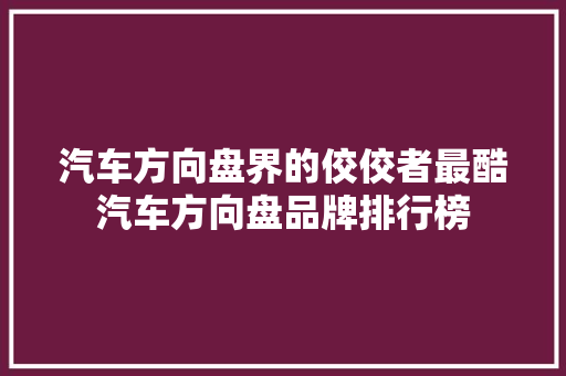 汽车方向盘界的佼佼者最酷汽车方向盘品牌排行榜