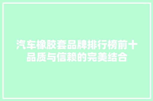 汽车橡胶套品牌排行榜前十品质与信赖的完美结合 自动驾驶