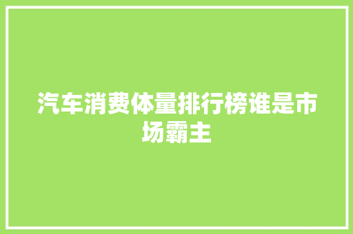 汽车消费体量排行榜谁是市场霸主